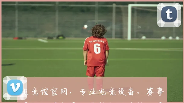电竞馆官网，专业电竞设备，赛事资讯一网打尽，体验极致竞技，尽在电竞馆官网逗逗逗