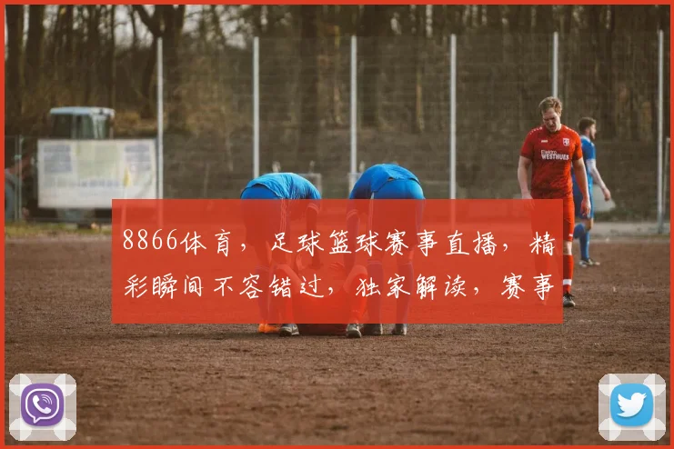 8866体育，足球篮球赛事直播，精彩瞬间不容错过，独家解读，赛事前瞻，尽在掌握