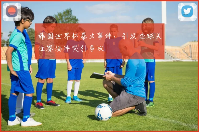 韩国世界杯暴力事件，引发全球关注赛场冲突引争议