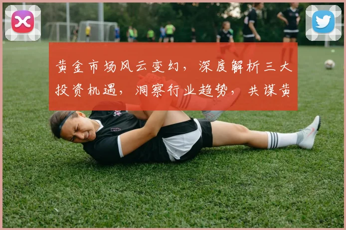 黄金市场风云变幻，深度解析三大投资机遇，洞察行业趋势，共谋黄金网一未来之路