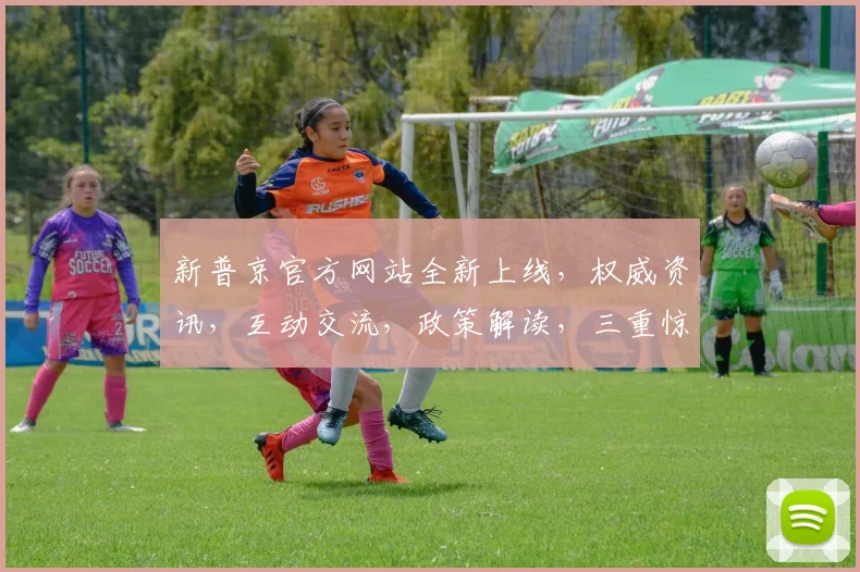 新普京官方网站全新上线，权威资讯，互动交流，政策解读，三重惊喜，不容错过